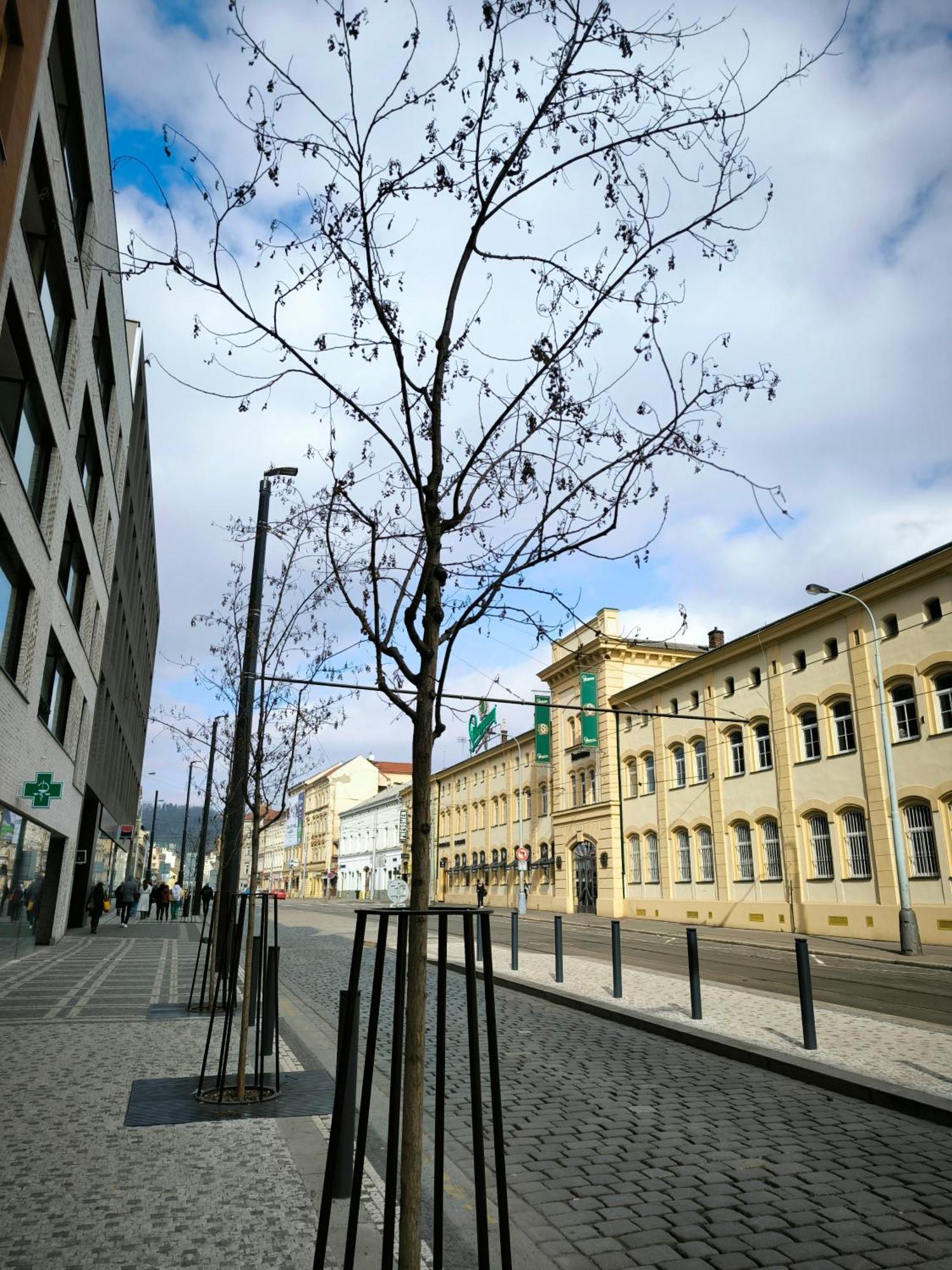Valentinka Minutes Away From Charles Bridge Praga Exterior foto
